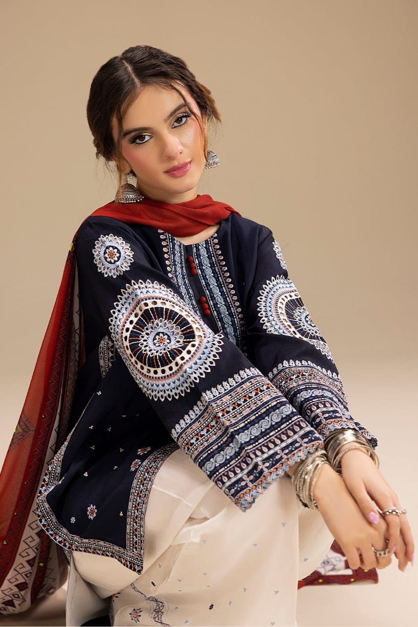RR-610 Unstitched Heavy Embroidered Dhanak Suit With Digital Printed Monar Dupatta