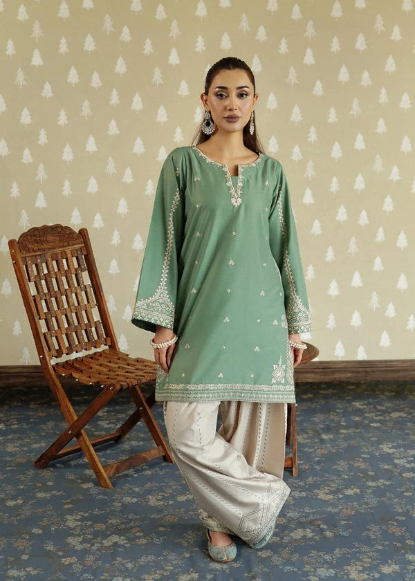 2 Piece - Unstitched Fully Embroidered Dhanak Suit With Embroidered Trouser