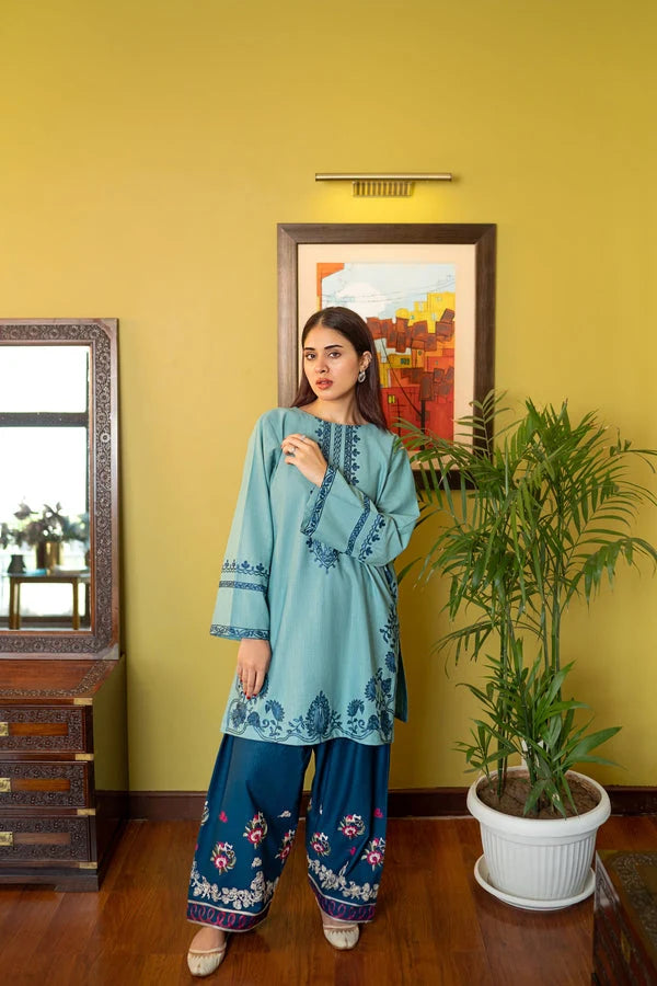 2 Piece - Unstitched Fully Embroidered Dhanak Suit With Embroidered Trouser