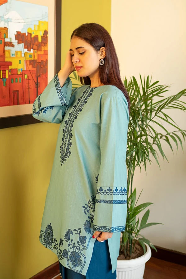 2 Piece - Unstitched Fully Embroidered Dhanak Suit With Embroidered Trouser