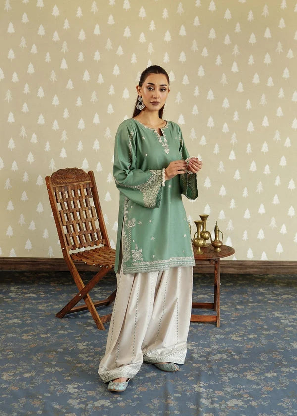 2 Piece - Unstitched Fully Embroidered Dhanak Suit With Embroidered Trouser