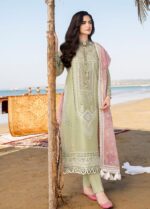 CH-10 Embroidered ChickenKari Lawn Suit With Printed Organza Dupatta