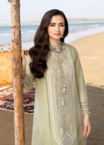 CH-10 Embroidered ChickenKari Lawn Suit With Printed Organza Dupatta