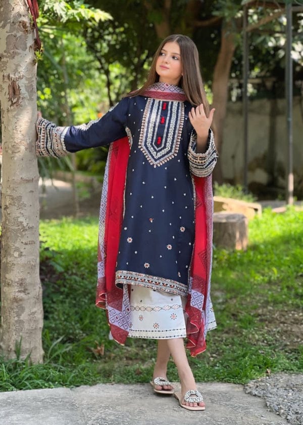 RR-610 Unstitched Dhanak Stuff Full Embroidered Suit With Printed Wool Shawl
