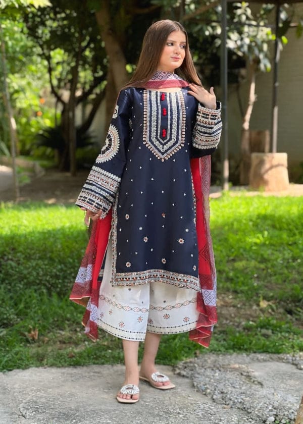 RR-610 Unstitched Dhanak Stuff Full Embroidered Suit With Printed Wool Shawl
