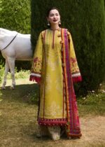 Unstitched Heavy Embroidered Dhanak Suit ( Printed Woolen Shawl )