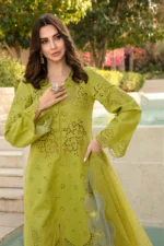 Luxury Lawn Stuff 3 Piece Full Chicken Kari Embroidered Suit With Cotton Net Embroidered Dupatta.